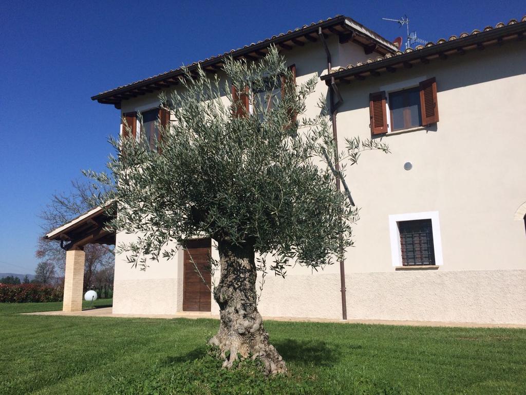 Podere Le Volte Degli Angeli Spello Eksteriør bilde