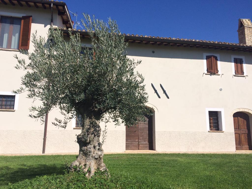 Podere Le Volte Degli Angeli Spello Eksteriør bilde
