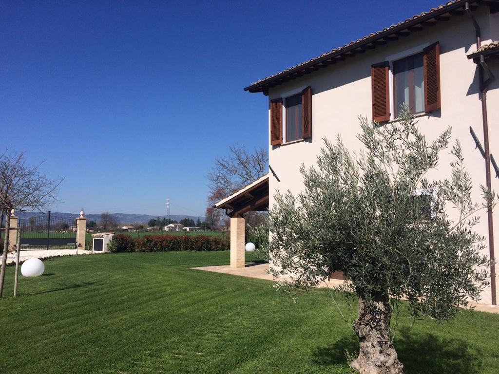 Podere Le Volte Degli Angeli Spello Eksteriør bilde