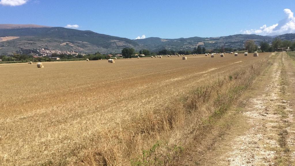 Podere Le Volte Degli Angeli Spello Eksteriør bilde
