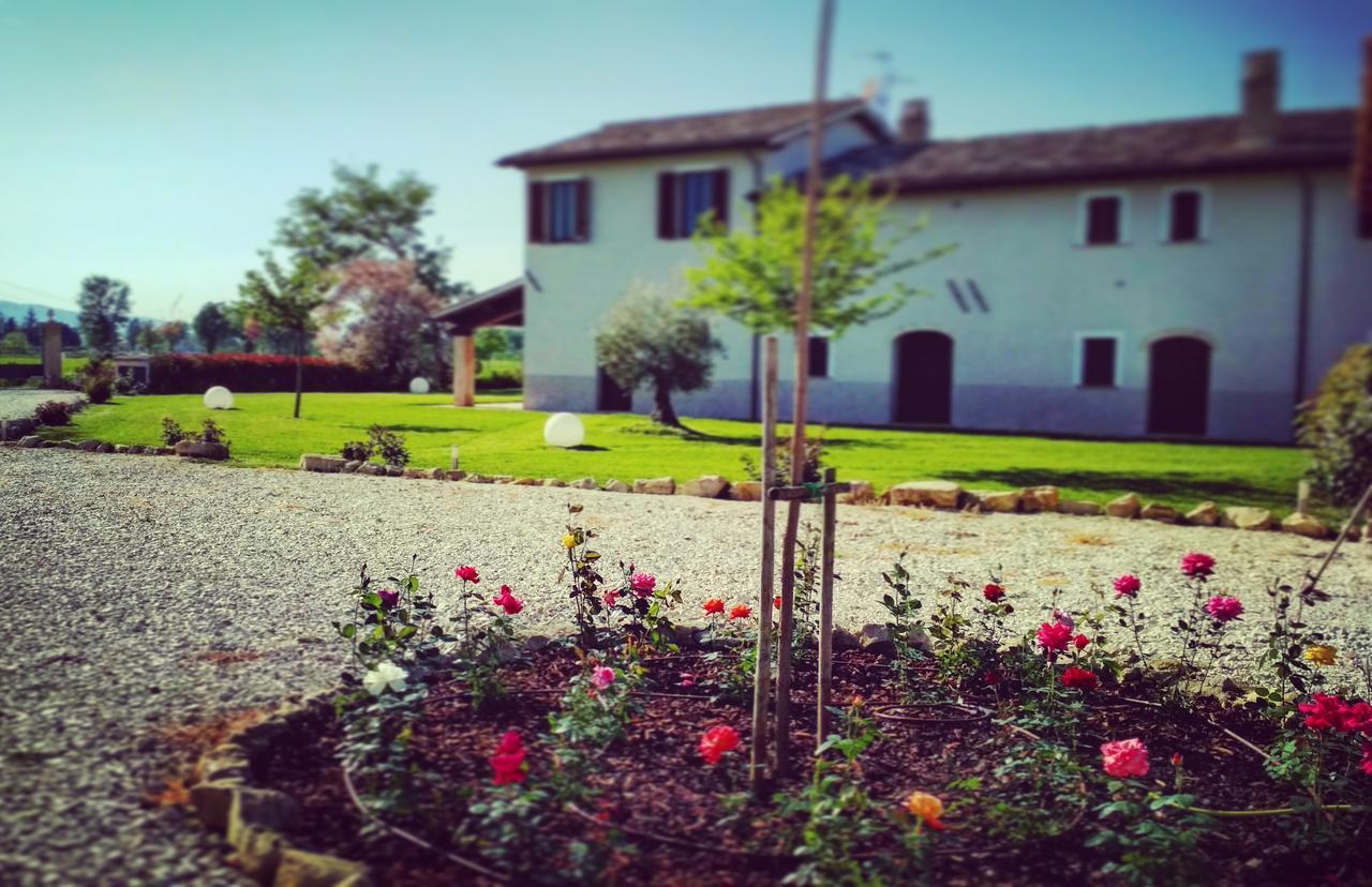 Podere Le Volte Degli Angeli Spello Eksteriør bilde